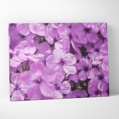 Purple floral canvas wall art with blooming flowers and water droplets, decorative home decor.