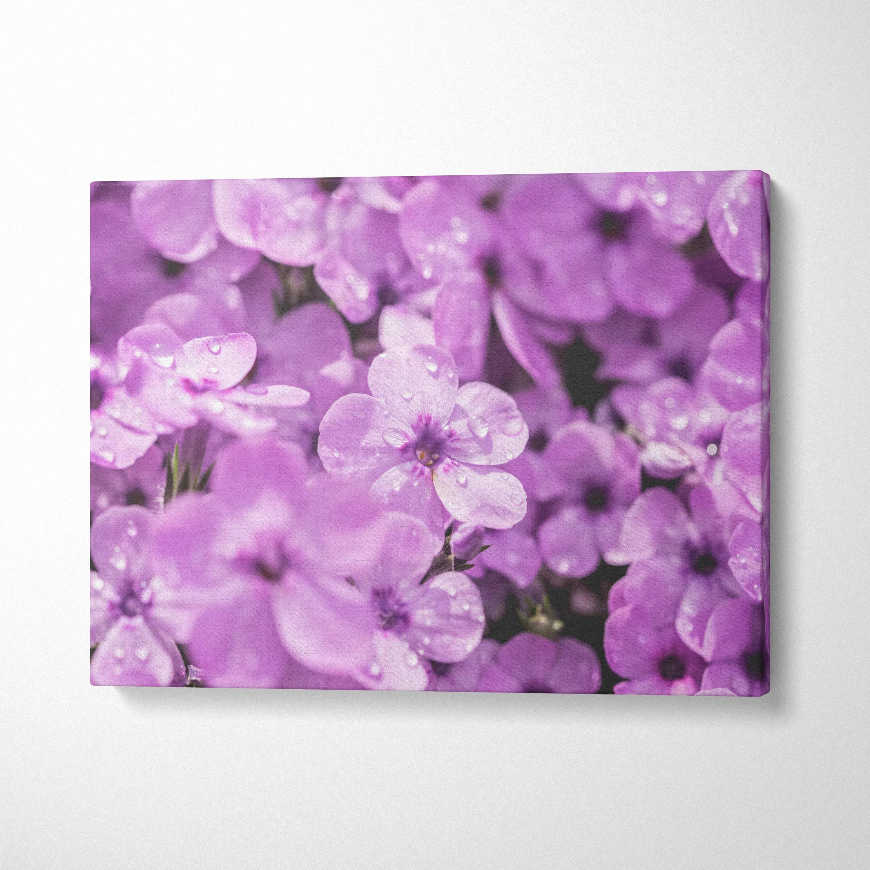 Purple floral canvas wall art featuring blooming flowers with soft petals and dew drops for elegant decor.