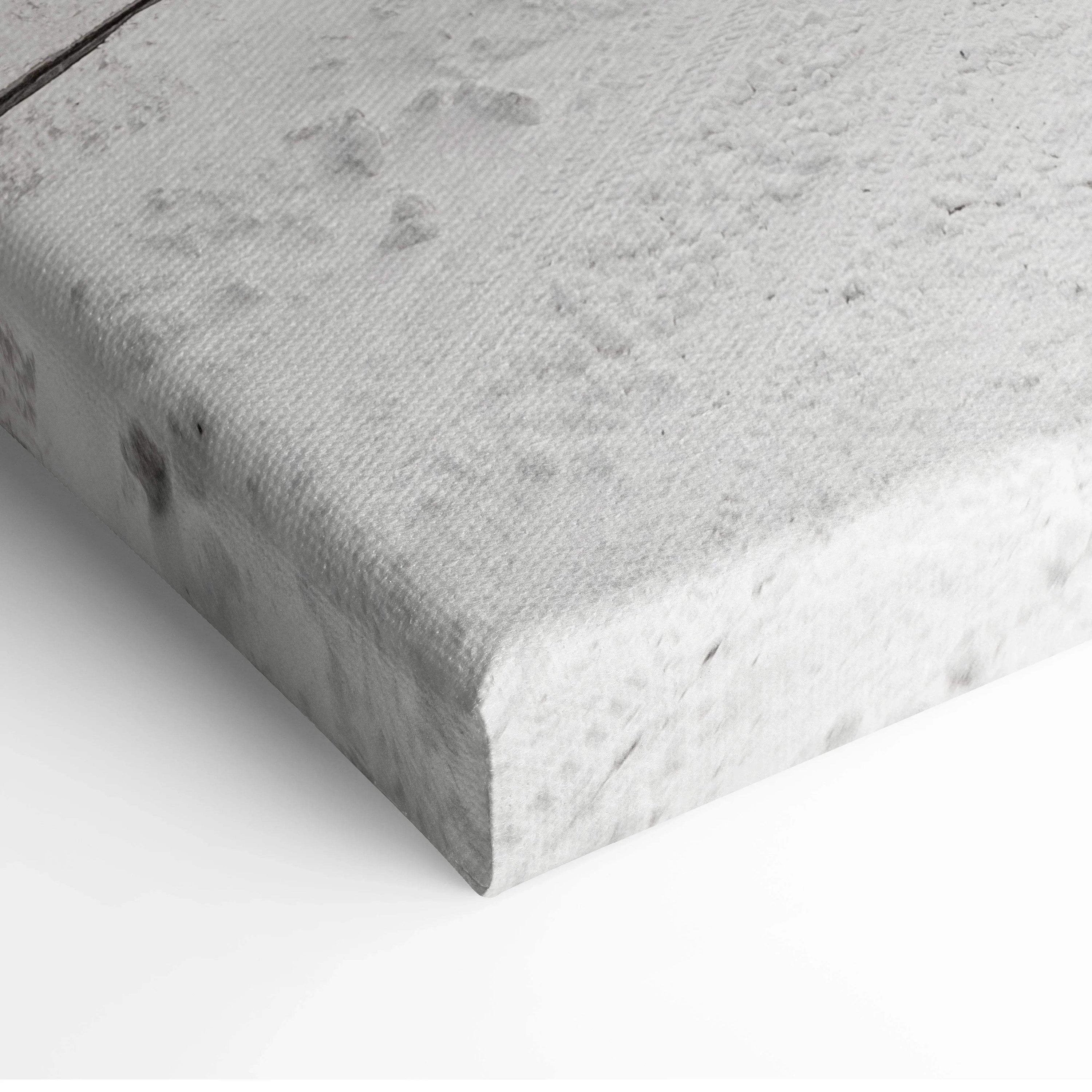 Close-up of textured white canvas edge with subtle snowflake and frost pattern for winter wall art decor.