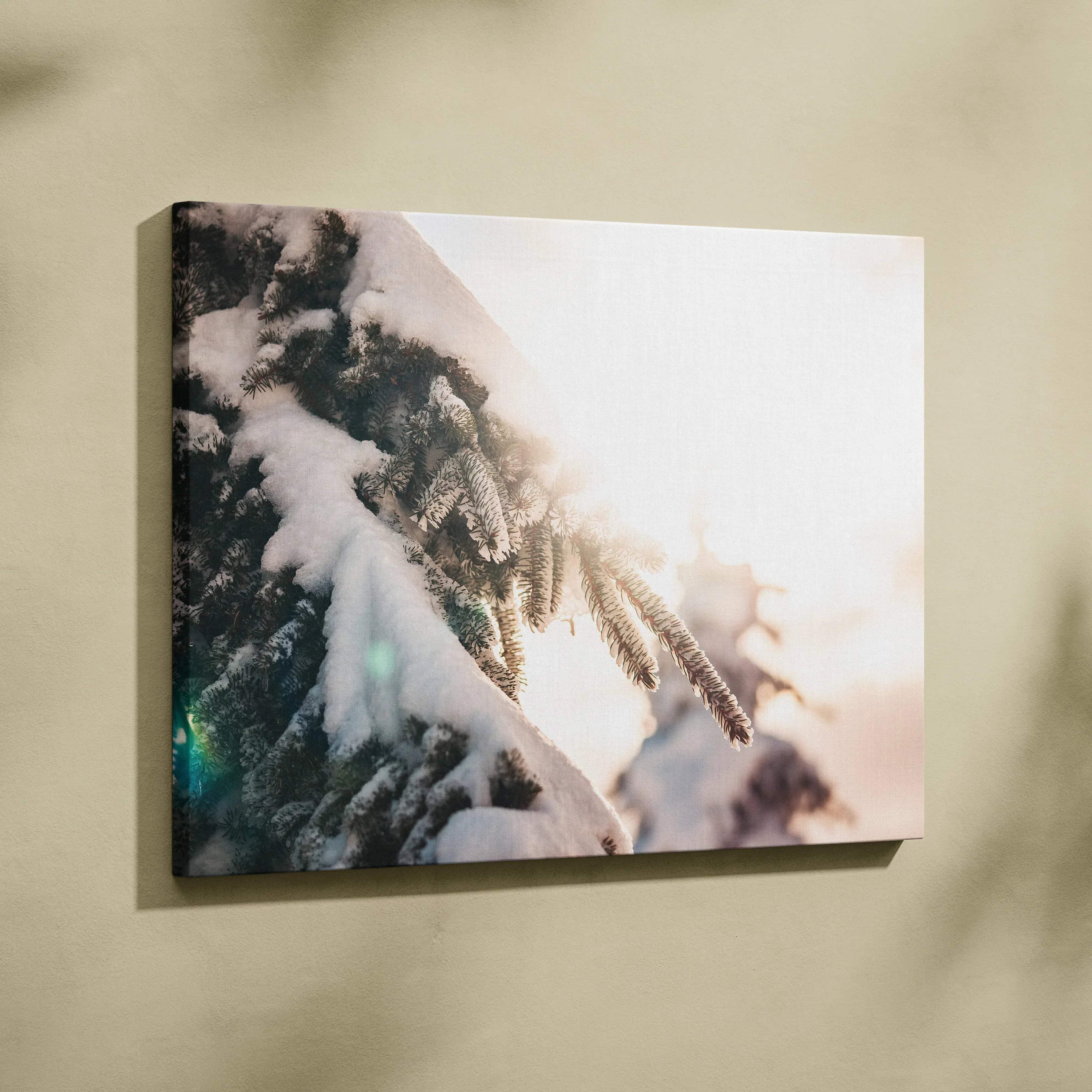 Canvas wall art featuring close-up of snow-covered pine branches with soft sunlight and warm tones.