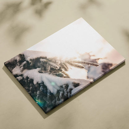 Canvas wall art featuring close-up of snow-covered evergreen branches with soft sunlight glow.