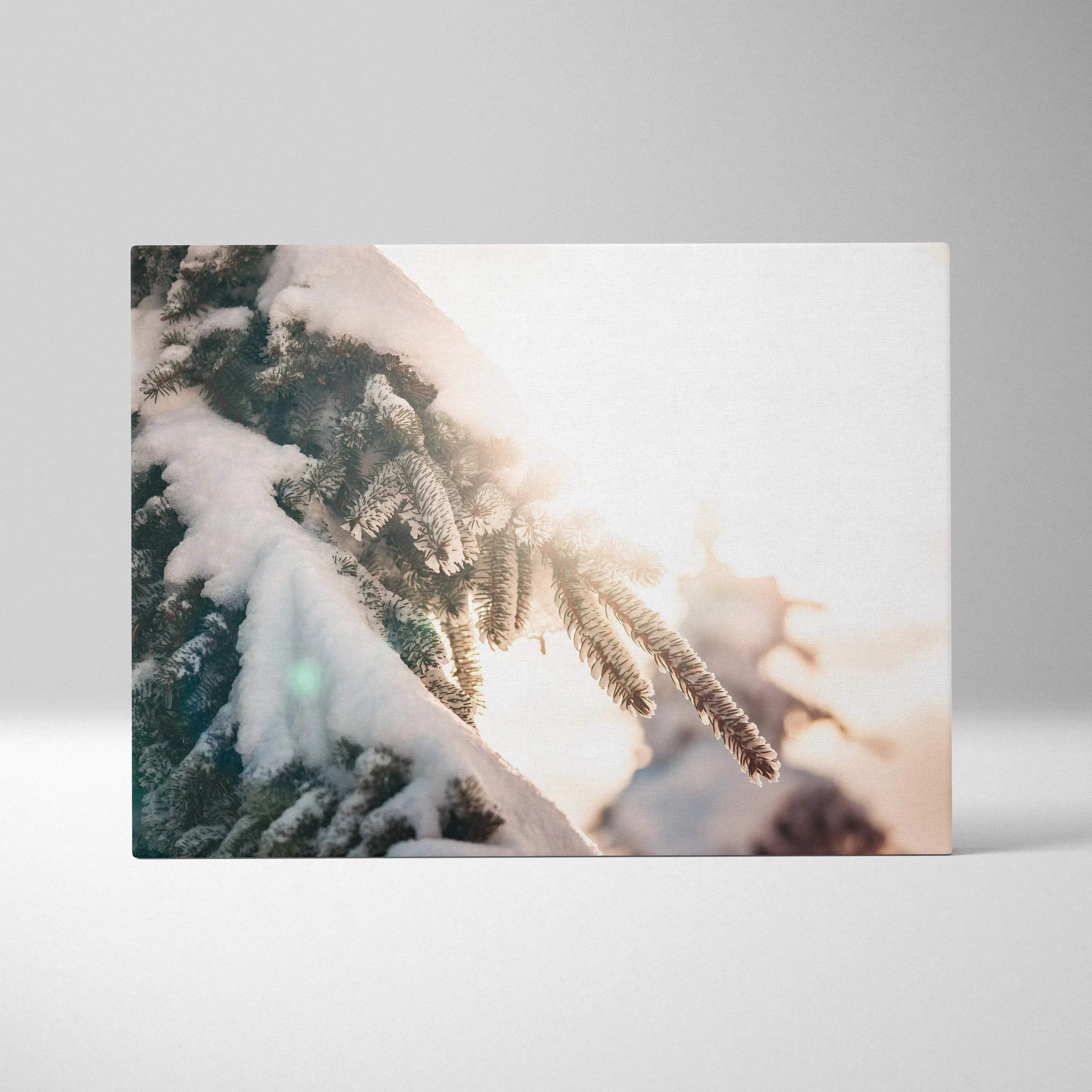 Canvas wall art featuring close-up snowy pine branches with soft sunlight and muted winter tones for home decor.