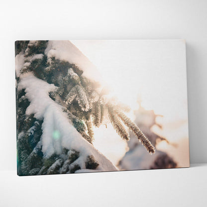 Canvas wall art featuring close-up of snow-covered evergreen tree branches with soft sunlight glow and blurred background.