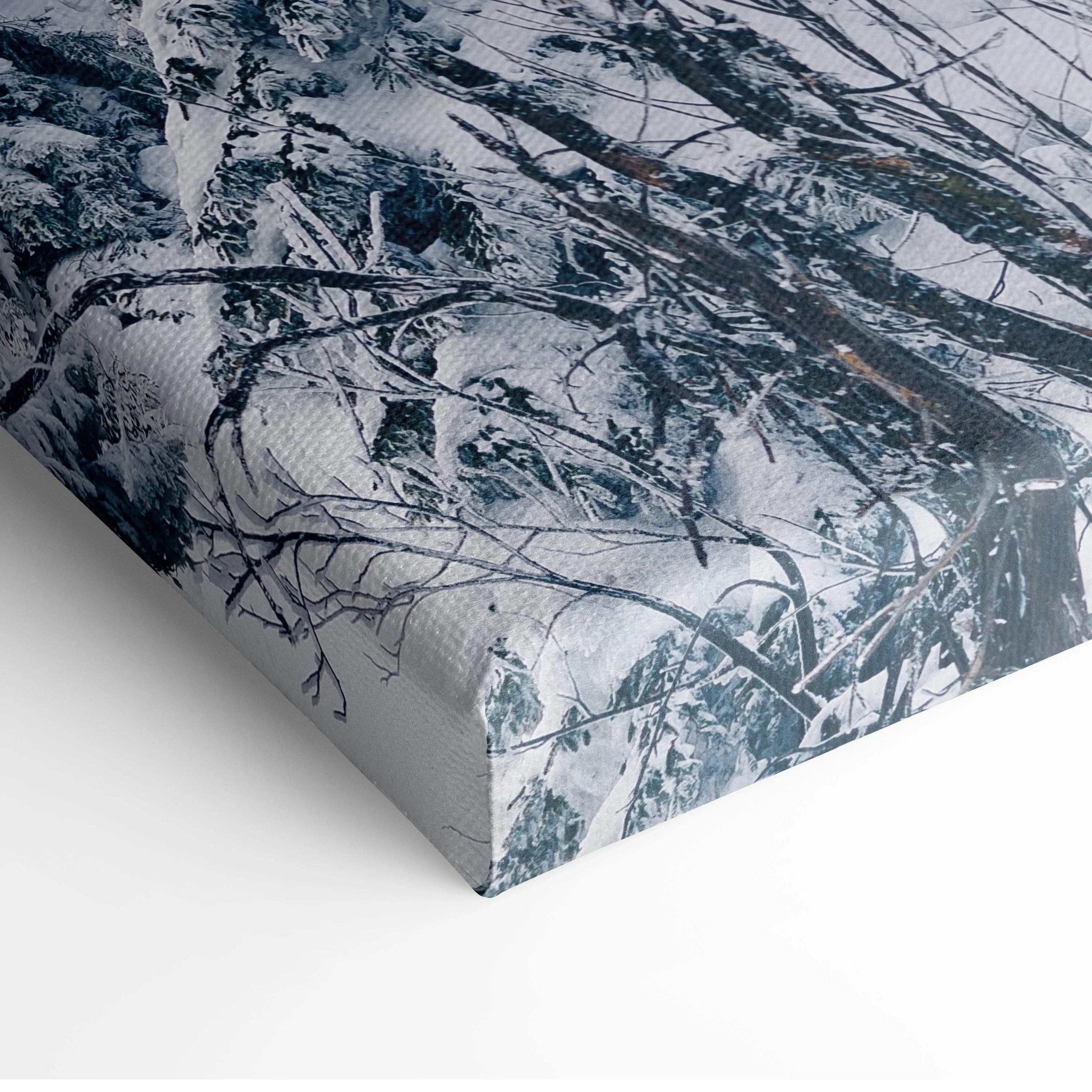 Canvas wall art featuring detailed snowy tree branches in a winter landscape decor scene.
