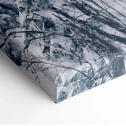 Canvas wall art featuring detailed snowy tree branches in a winter landscape decor scene.