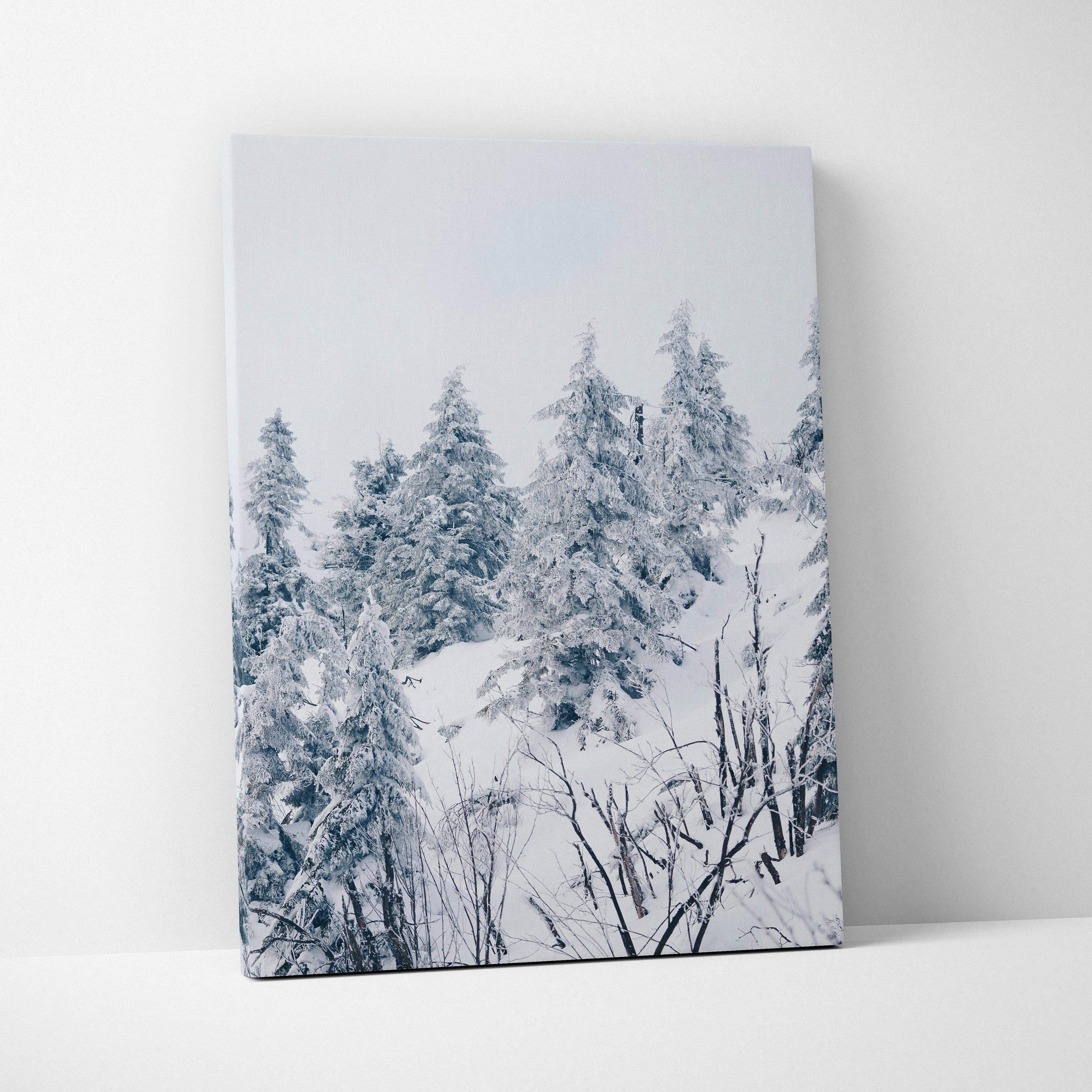 Winter landscape canvas wall art featuring snow-covered trees in a serene forest decor.