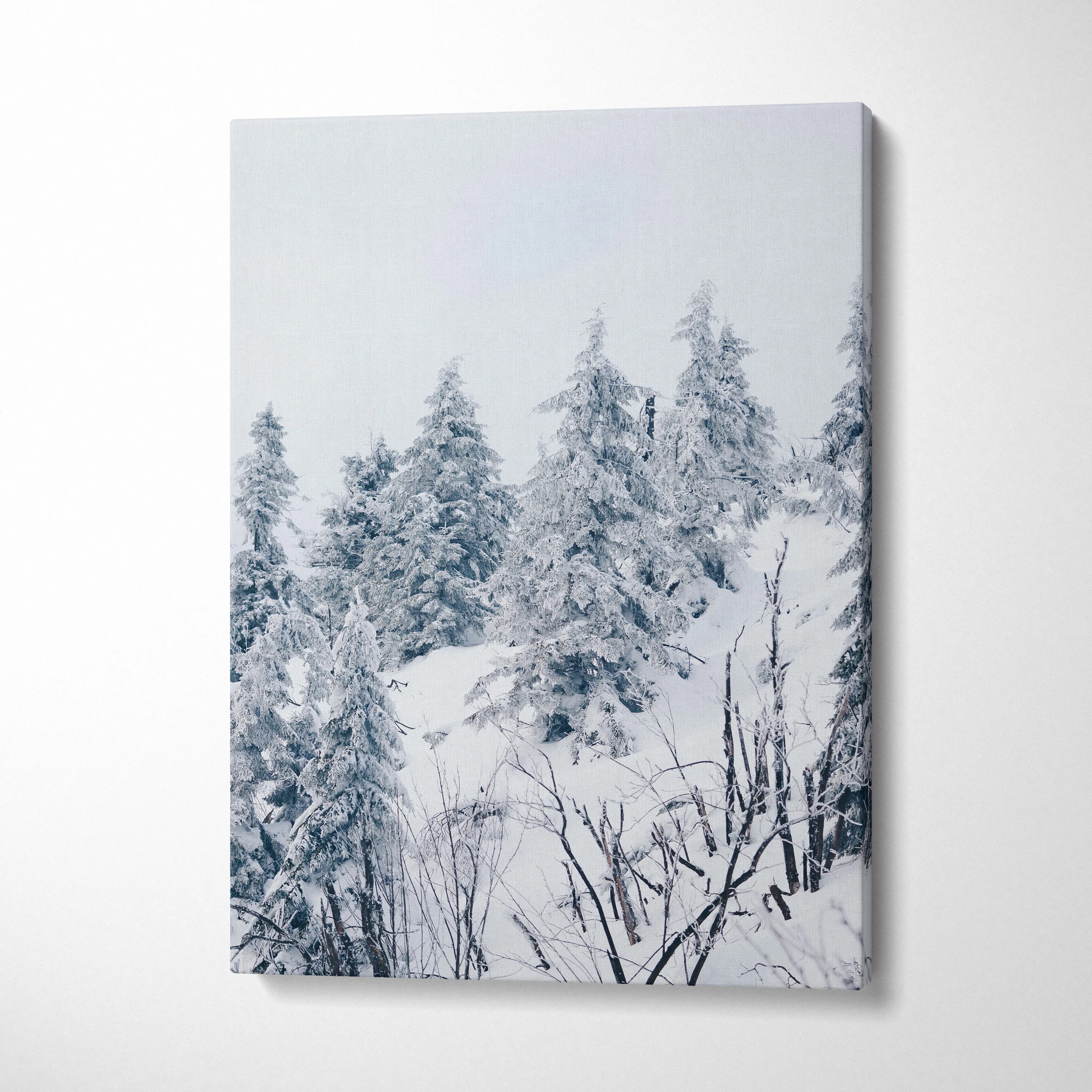 Winter snowy pine trees canvas wall art with serene white and blue tones decor.