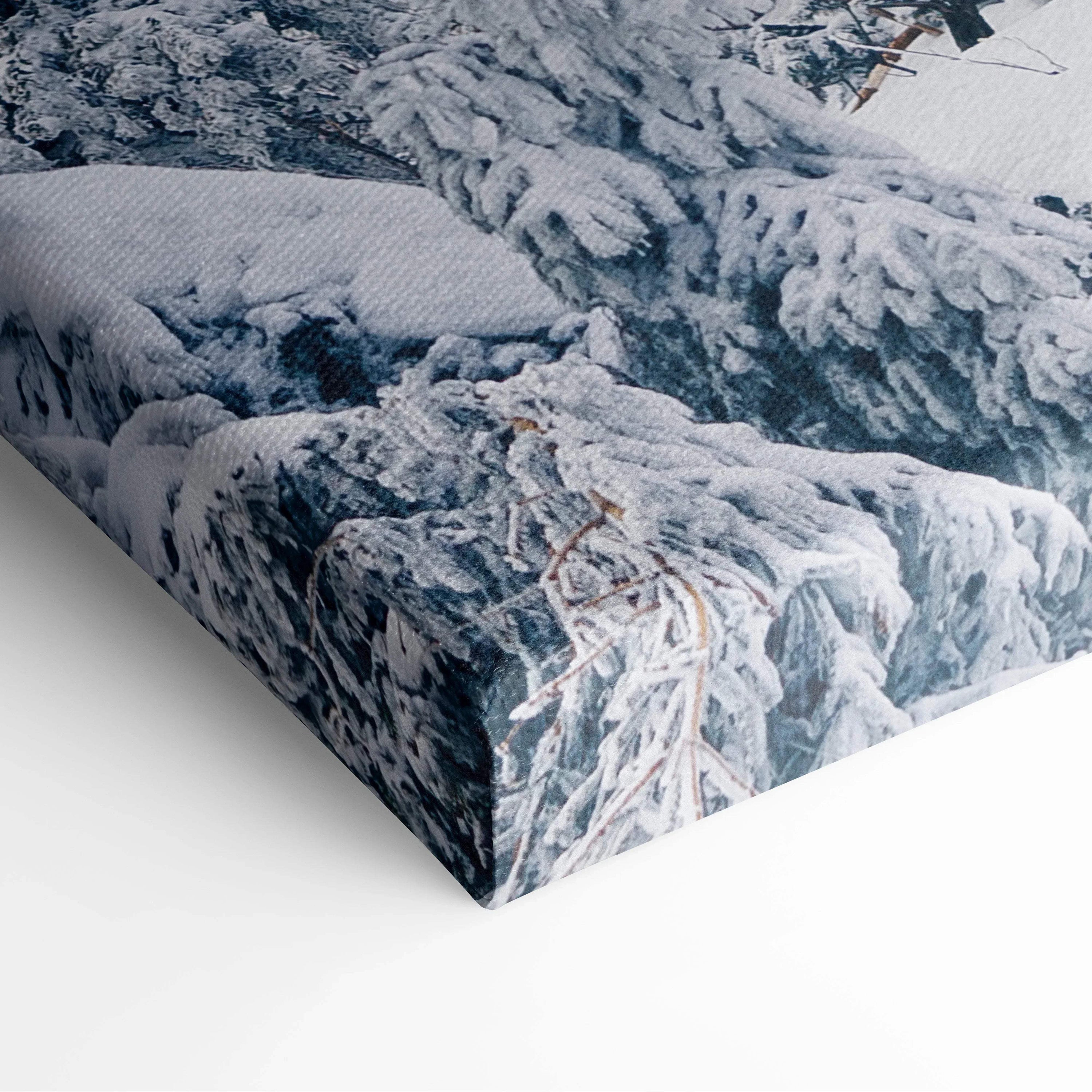 Canvas wall art featuring a high-resolution snowy forest scene with detailed frosty branches in cool blue and white tones.