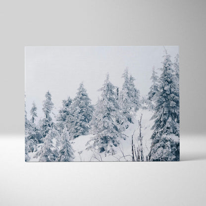 Winter snowy forest canvas wall art with frosted pine trees, elegant home decor art.