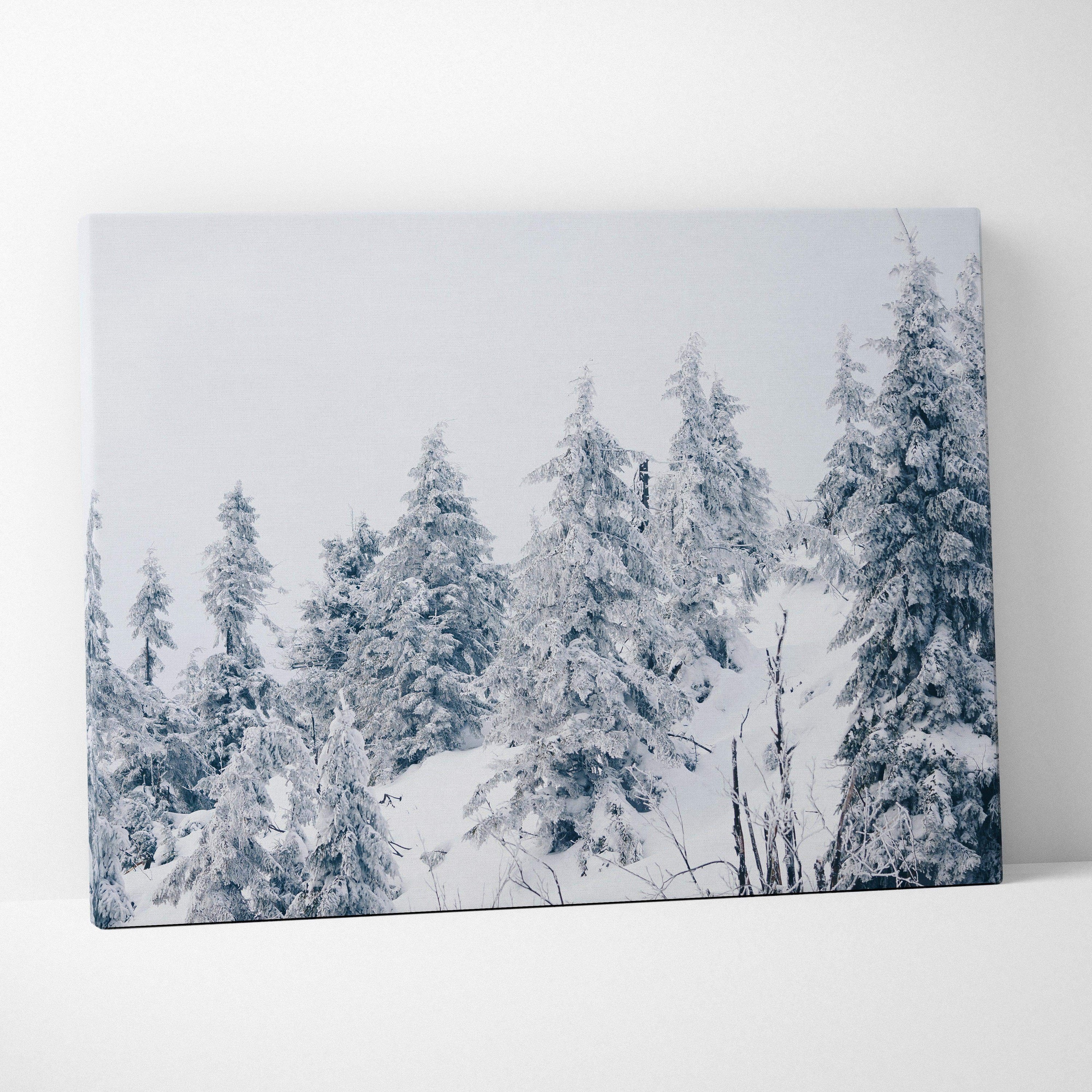 Canvas wall art featuring a snowy forest scene with tall pine trees covered in fresh white snow.