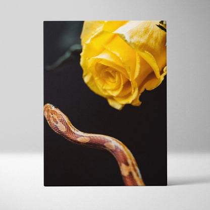 Canvas wall art of vibrant yellow rose and tan snake on dark background