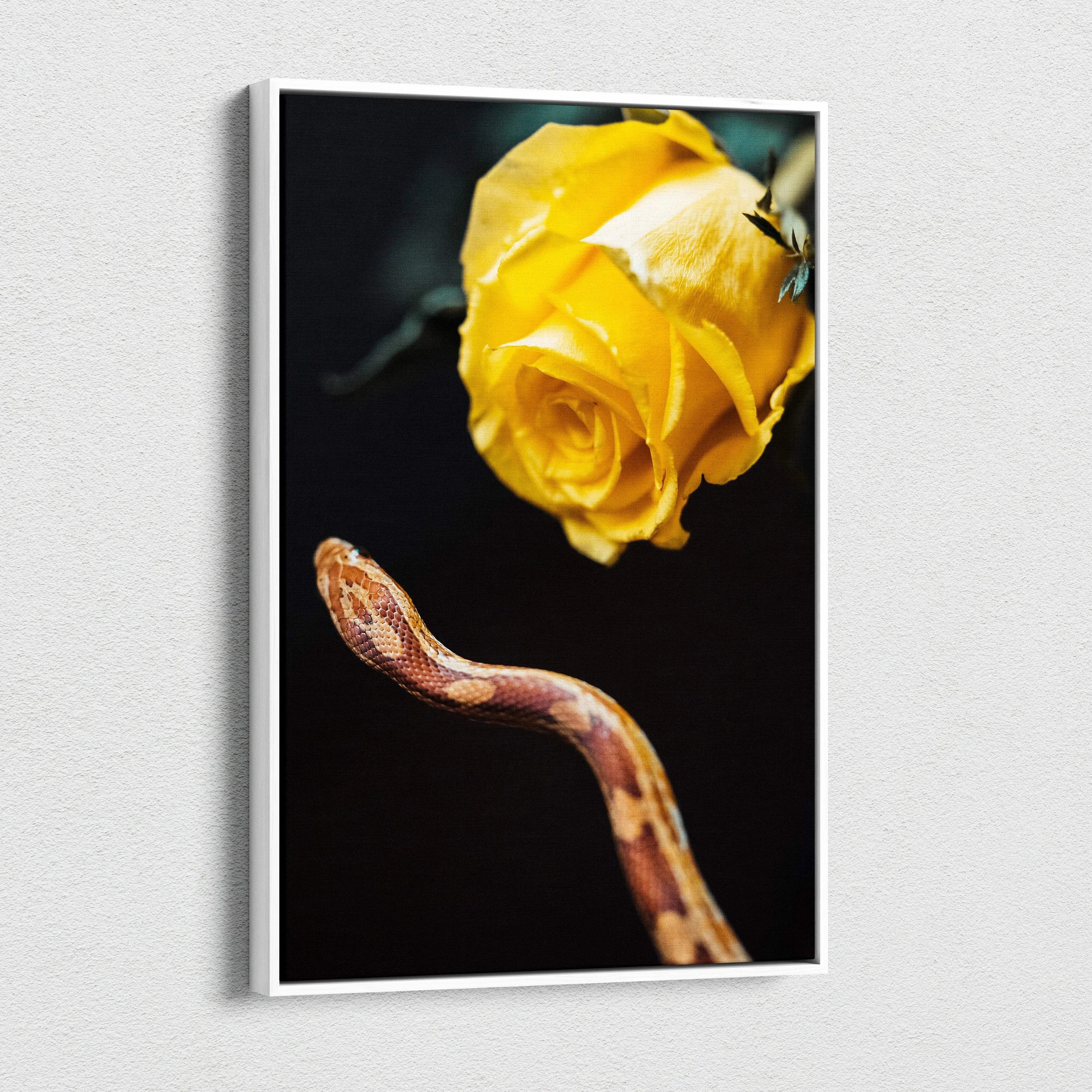 Canvas wall art of vibrant yellow rose and brown snake on black background