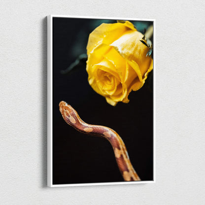 Canvas wall art of vibrant yellow rose and brown snake on black background