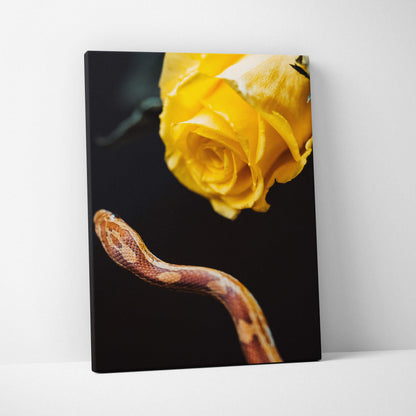 Canvas wall art of vibrant yellow rose and brown snake on black background