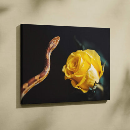 Canvas wall art featuring a coiled brown snake facing a vibrant yellow rose on a dark background.