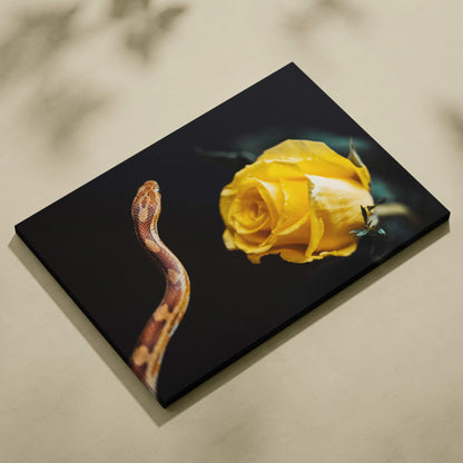 Canvas wall art print featuring a coiled brown snake and a vibrant yellow rose on a black background.