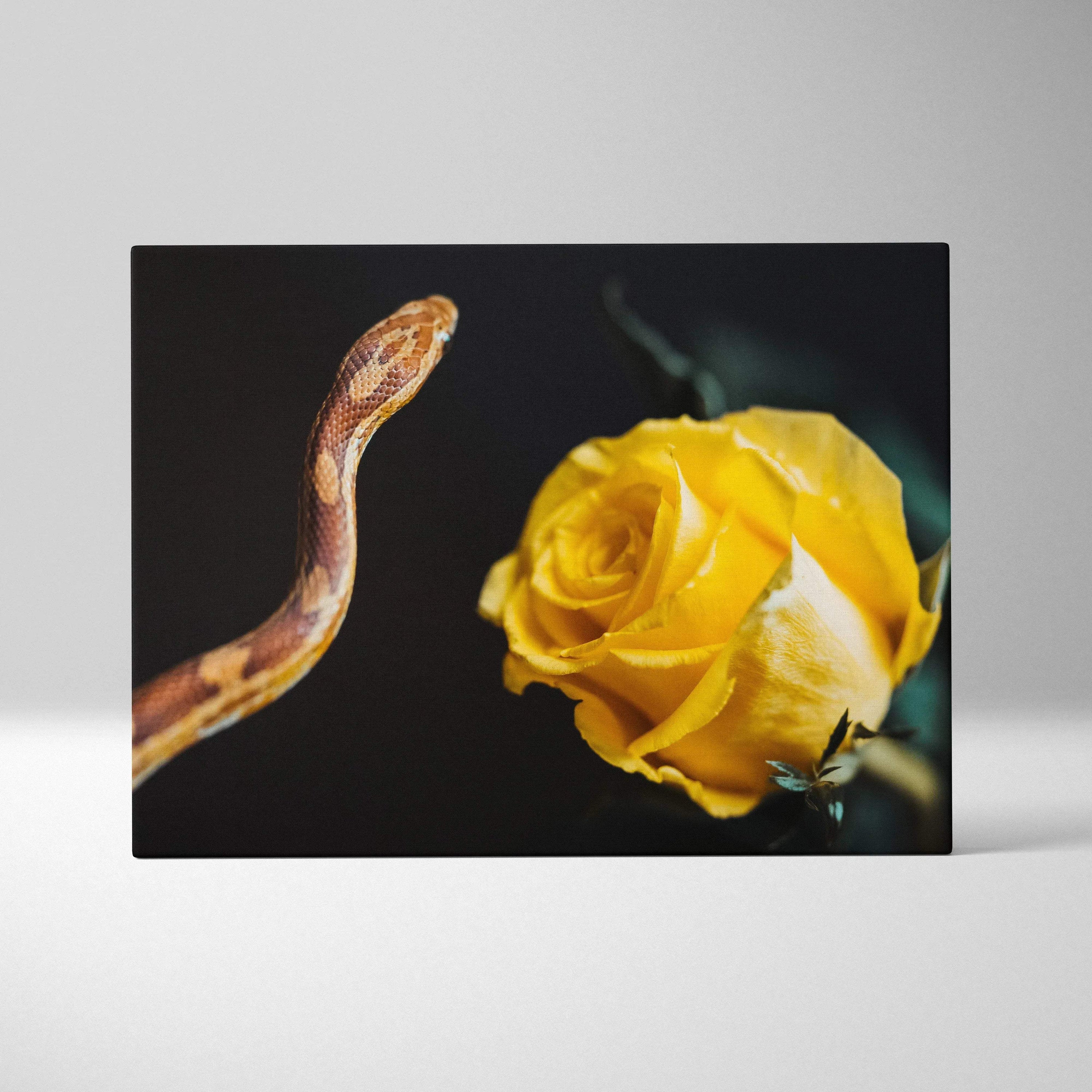 Canvas wall art featuring a coiled orange and white snake beside a vibrant yellow rose on a dark background.
