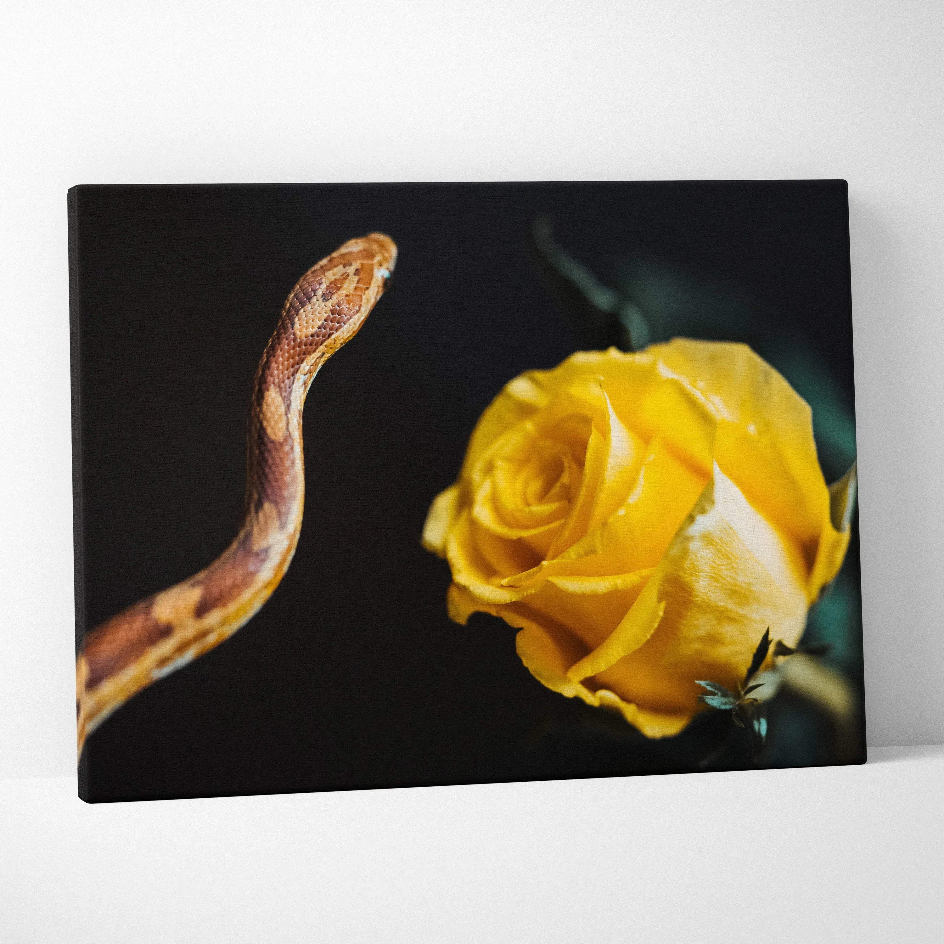 Canvas wall art featuring a vibrant yellow rose and a coiled brown snake on a black background.