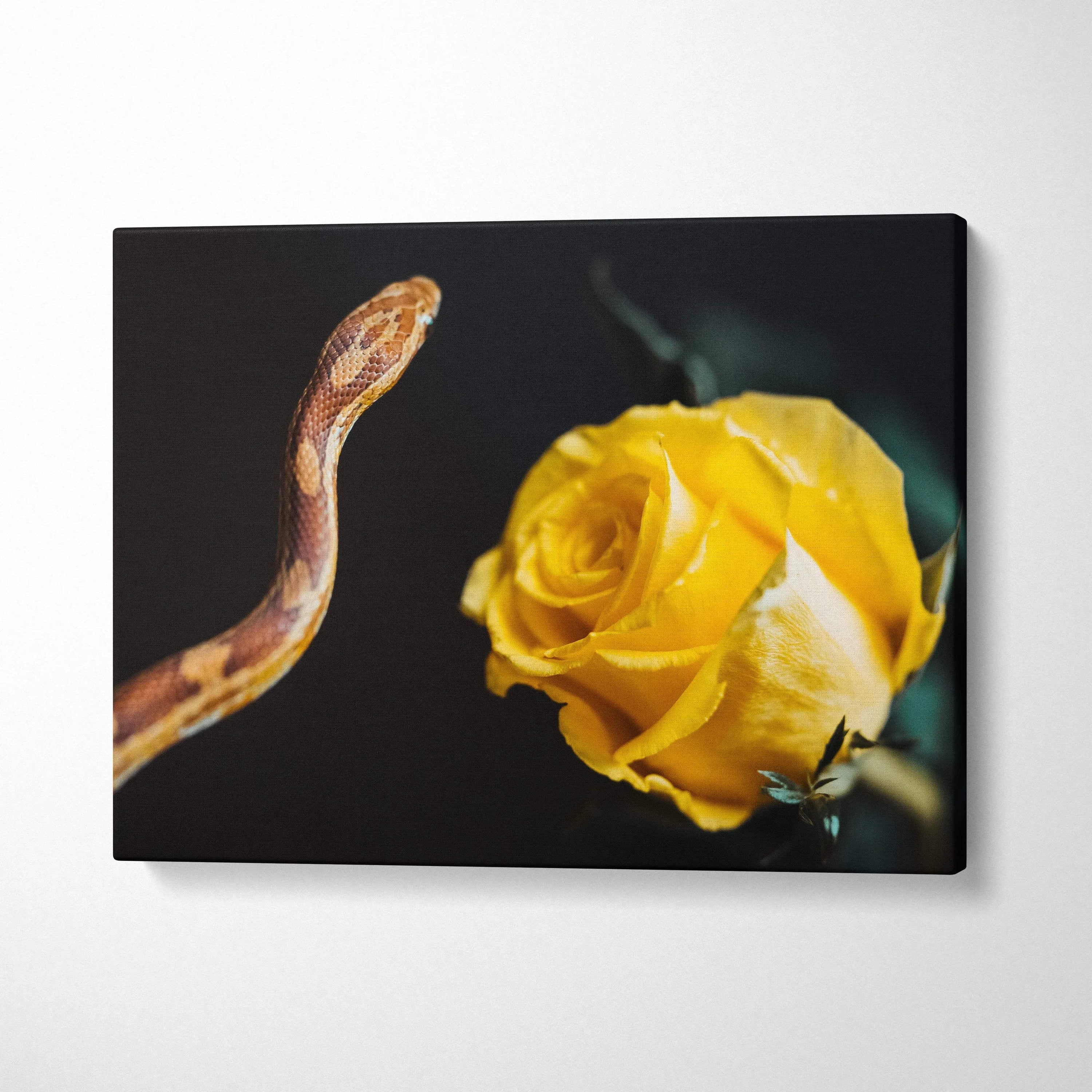 Canvas wall art featuring a coiled snake beside a vibrant yellow rose on a dark background.