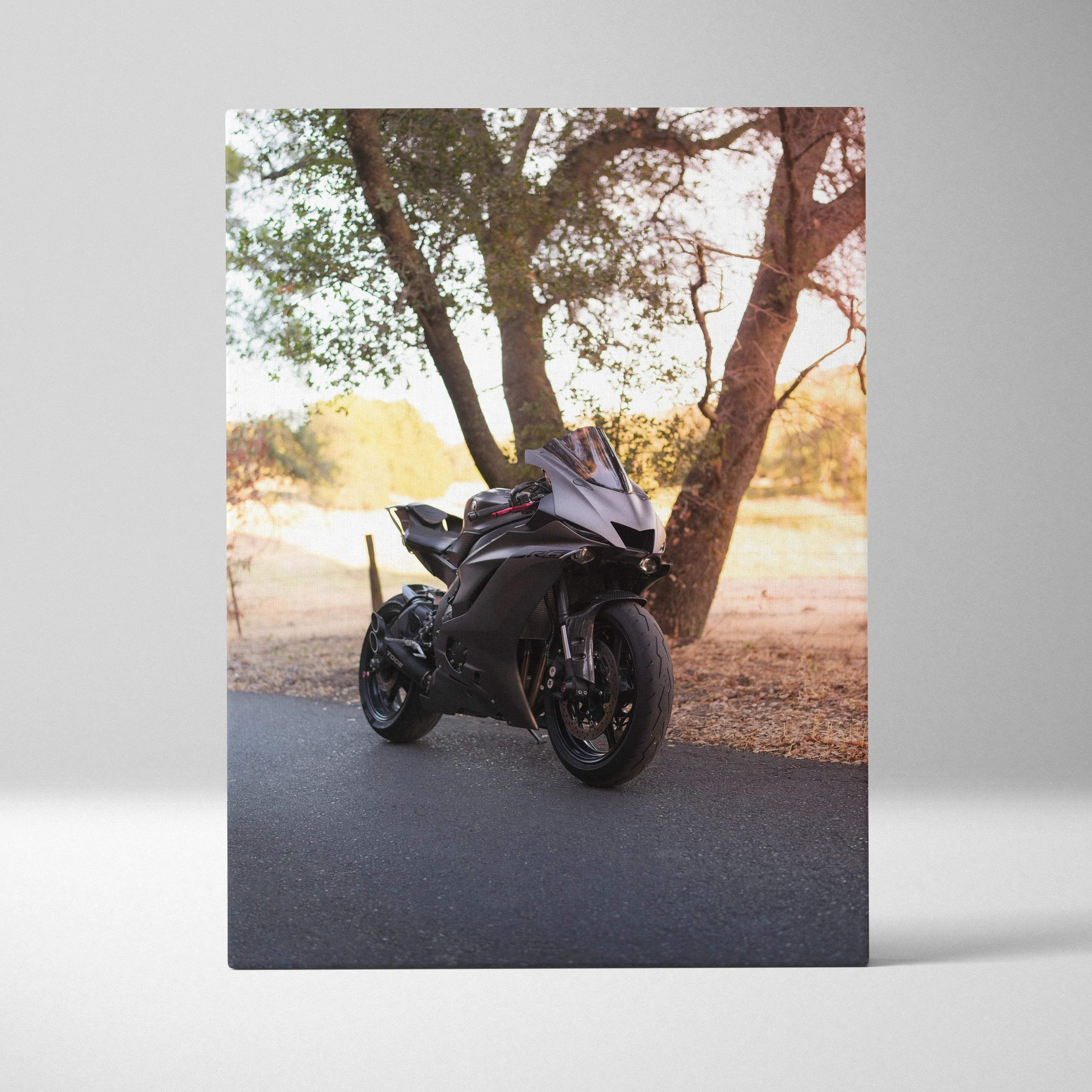 Yamaha R6 motorcycle parked on road under tree, vintage outdoor scene canvas art wall decor.