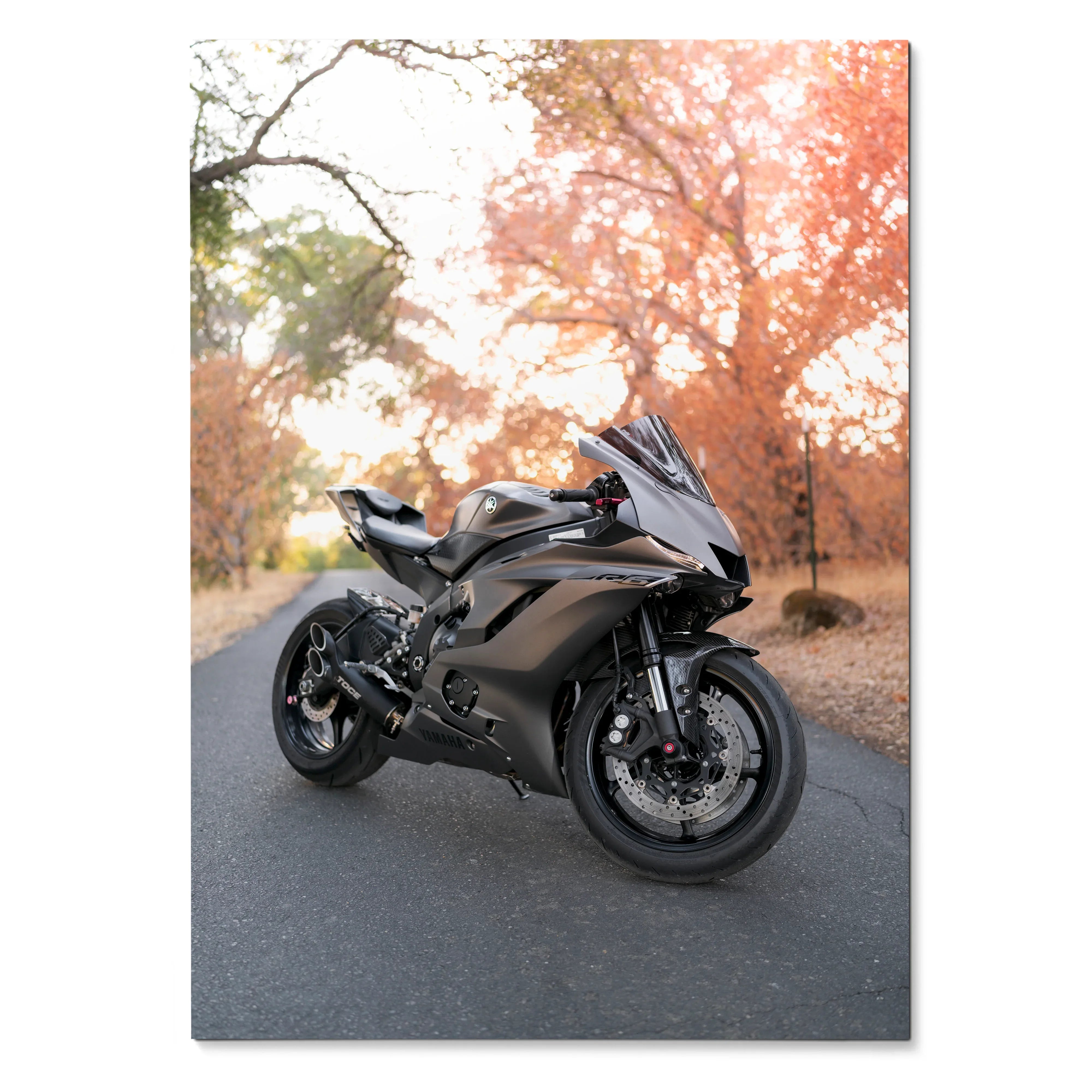 Yamaha R6 motorcycle parked on road with autumn trees background poster wall art.
