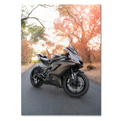 Yamaha R6 motorcycle parked on road with autumn trees background poster wall art.