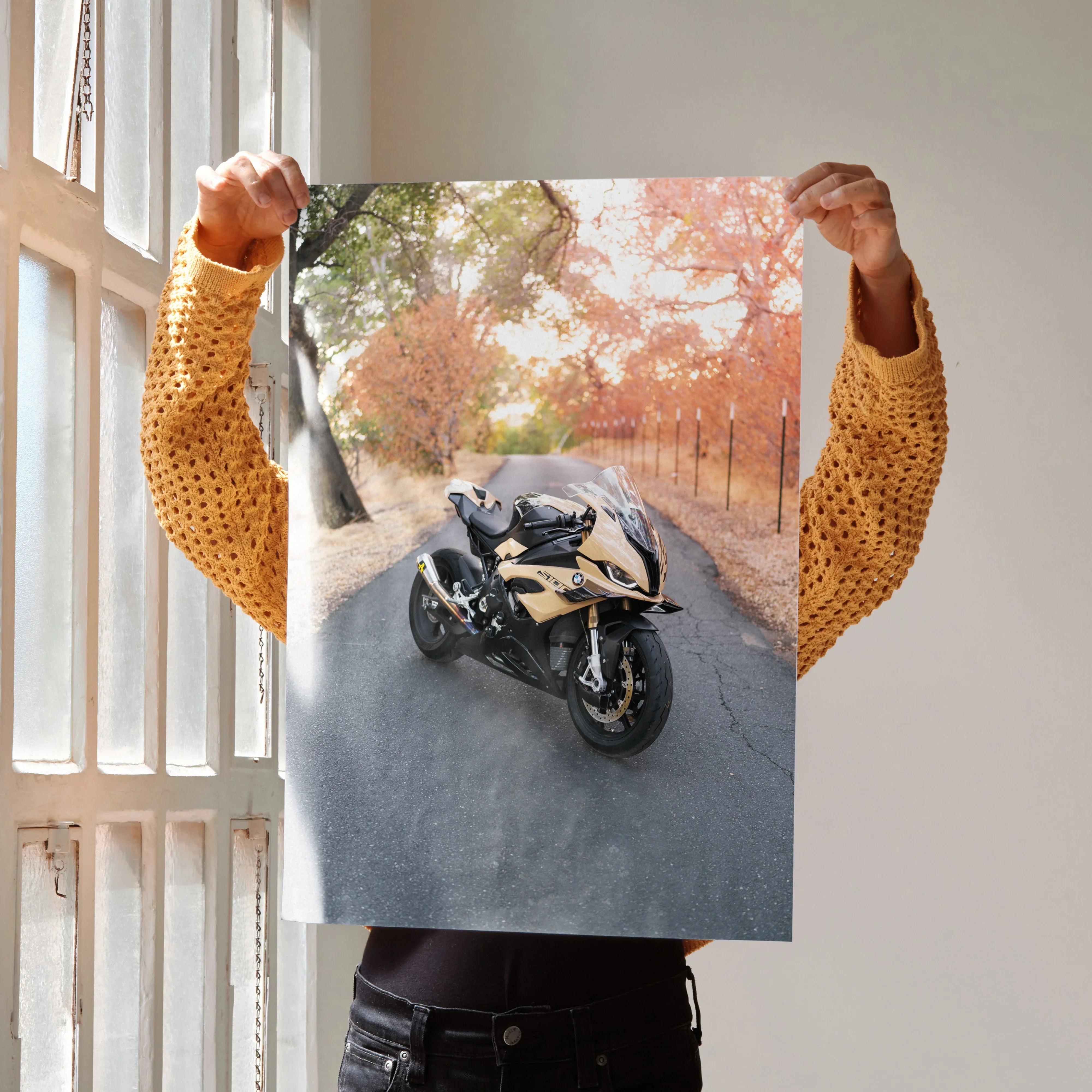 BMW S1000RR motorcycle poster with autumn road background, high-resolution wall art.