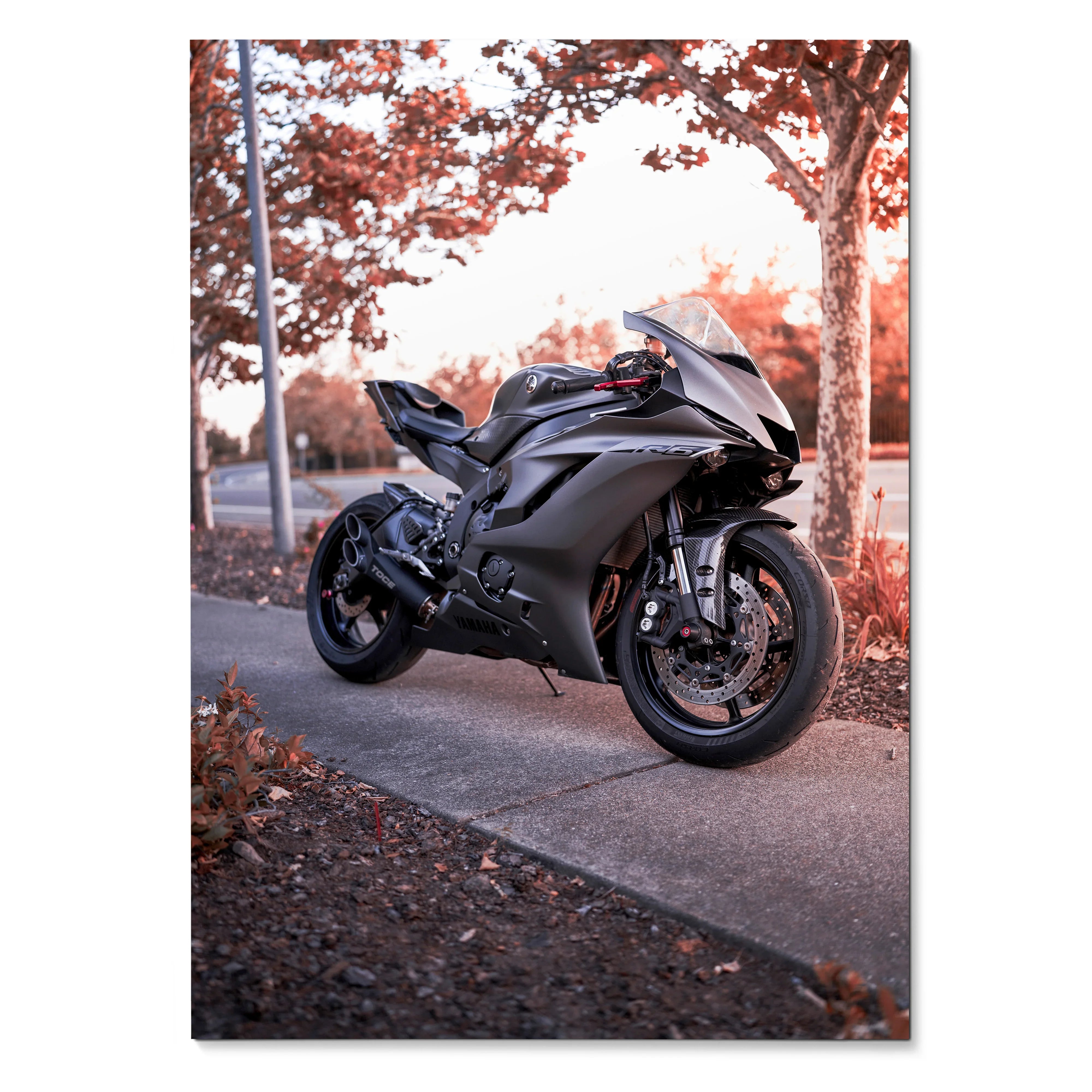 Matte black Yamaha R6 motorcycle parked on sidewalk under tree poster wall art.