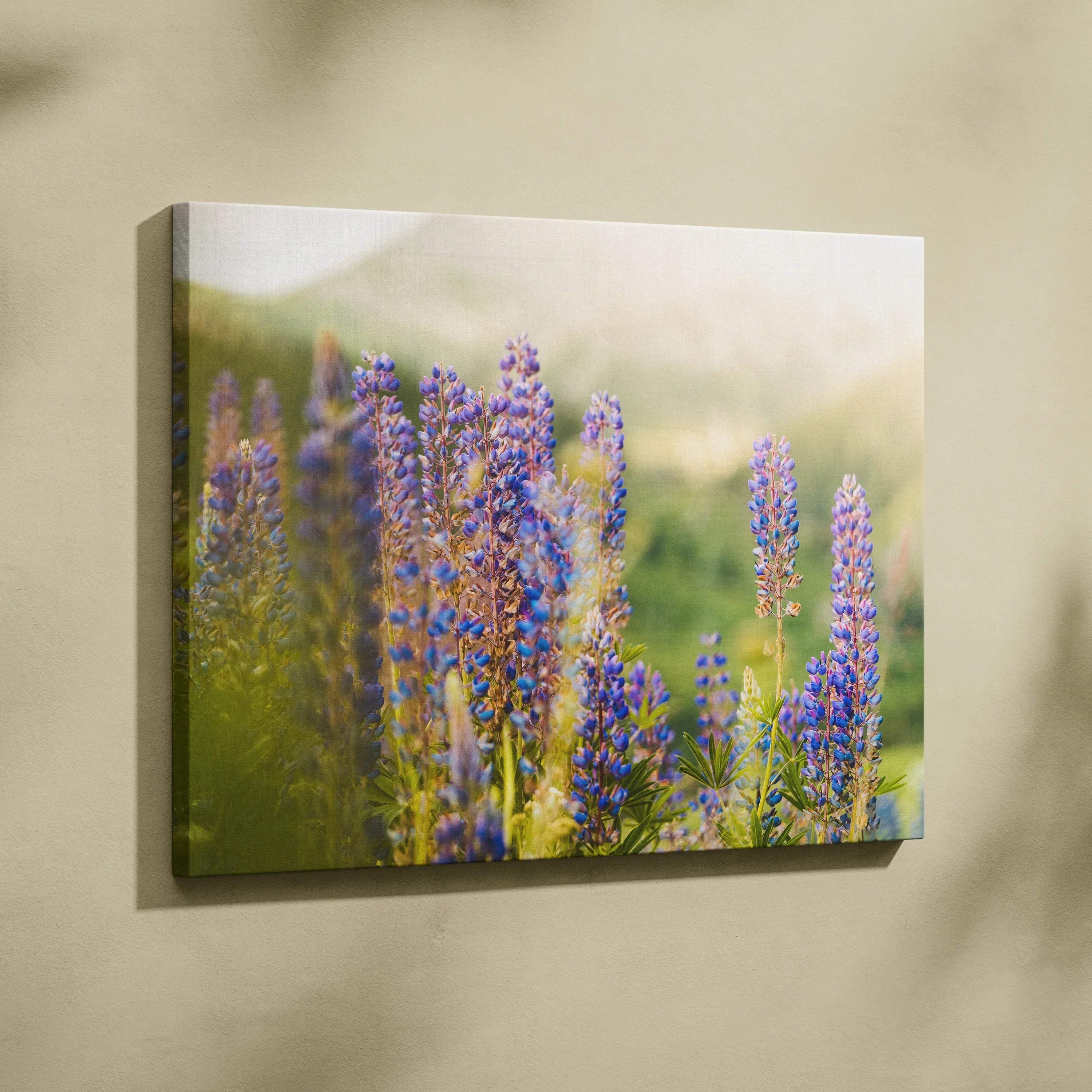 Canvas wall art featuring vibrant purple lupine flowers in a soft-focus natural setting for home decor.