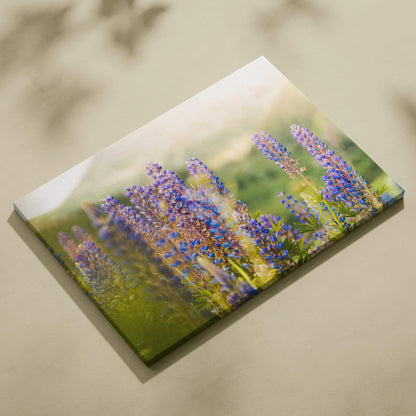 Canvas wall art featuring a soft-focus field of purple wildflowers with green foliage background.