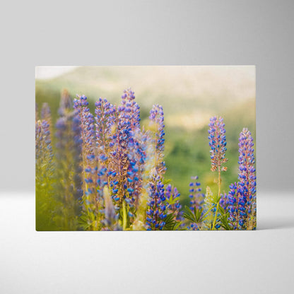 Canvas wall art featuring close-up of vibrant purple and blue lupine flowers with soft green and beige blurred background.