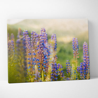 Canvas wall art featuring tall purple and blue lupine flowers set against a soft, blurred natural background for home decor.