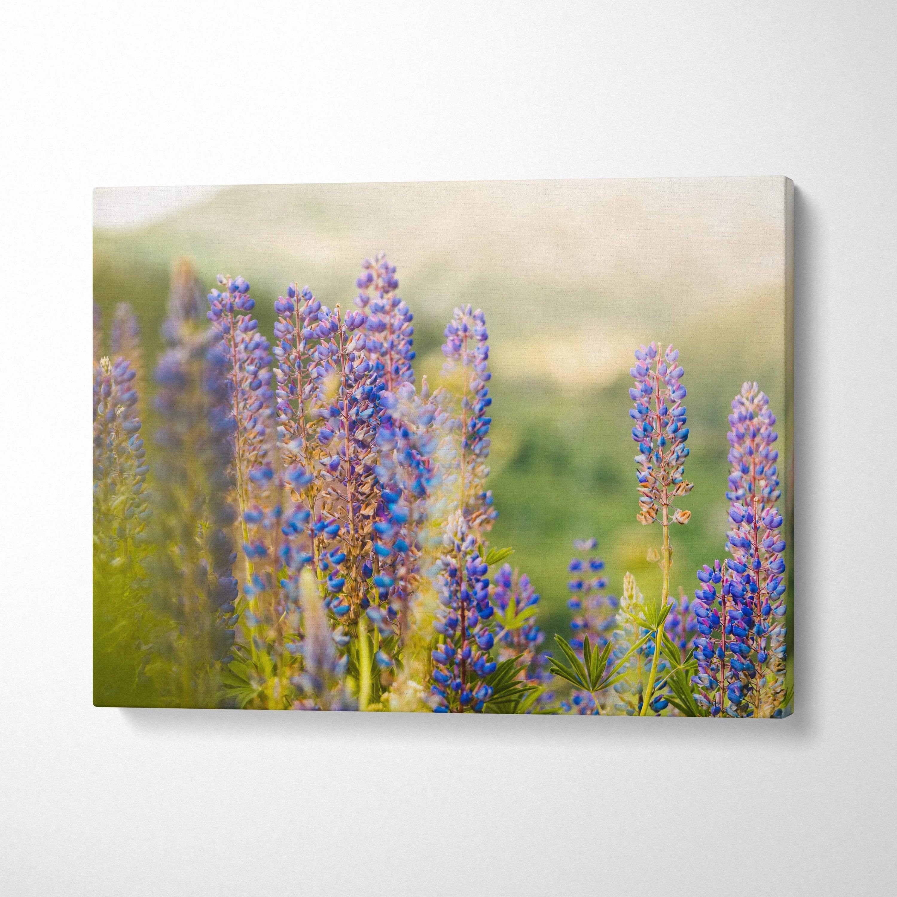 Canvas wall art featuring close-up purple lupine flowers in a soft natural outdoor setting decor.