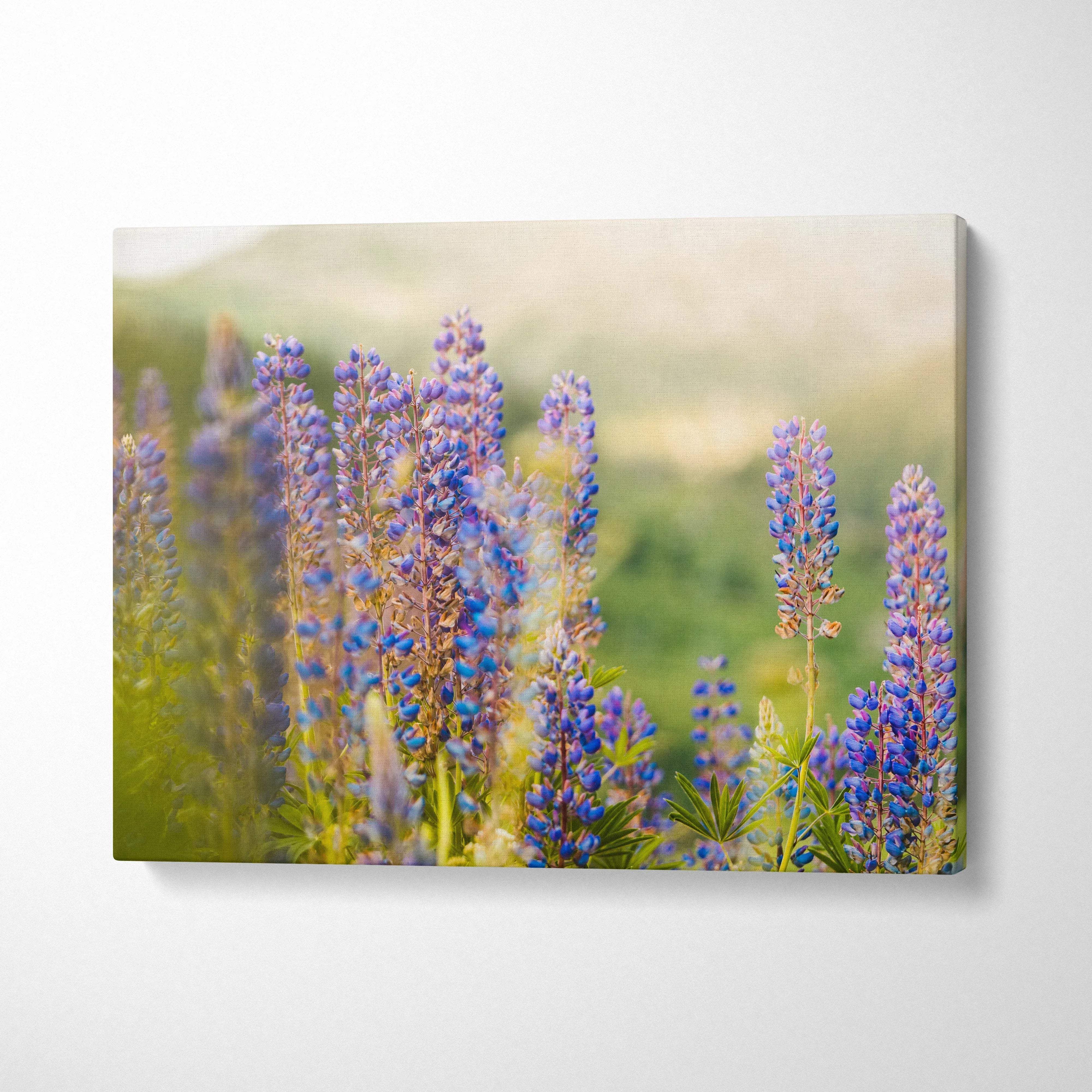 Canvas wall art featuring close-up purple lupine flowers in a soft natural outdoor setting decor.