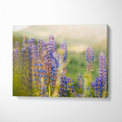 Canvas wall art featuring close-up purple lupine flowers in a soft natural outdoor setting decor.