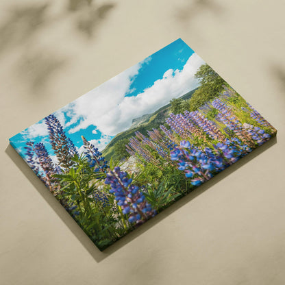 Canvas wall art featuring vibrant purple lupine flowers under a bright blue sky with fluffy white clouds, museum-quality.