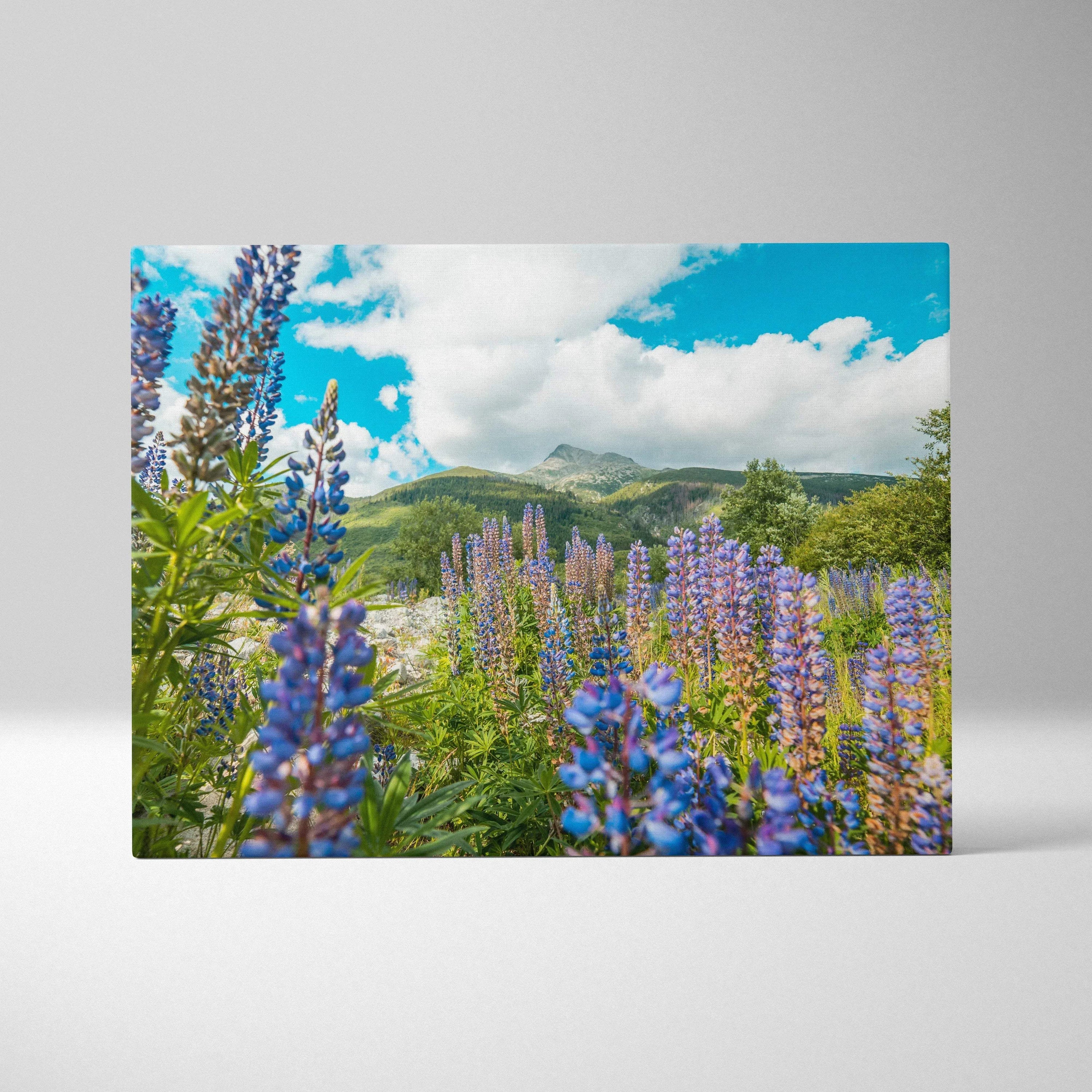 Canvas wall art featuring vibrant purple and blue lupine flowers under a bright blue sky with white clouds, set against.