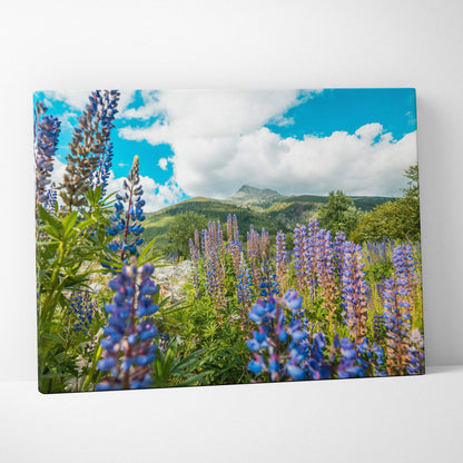 Canvas wall art featuring vibrant purple and blue lupine flowers against a green mountainous landscape under a bright blue.