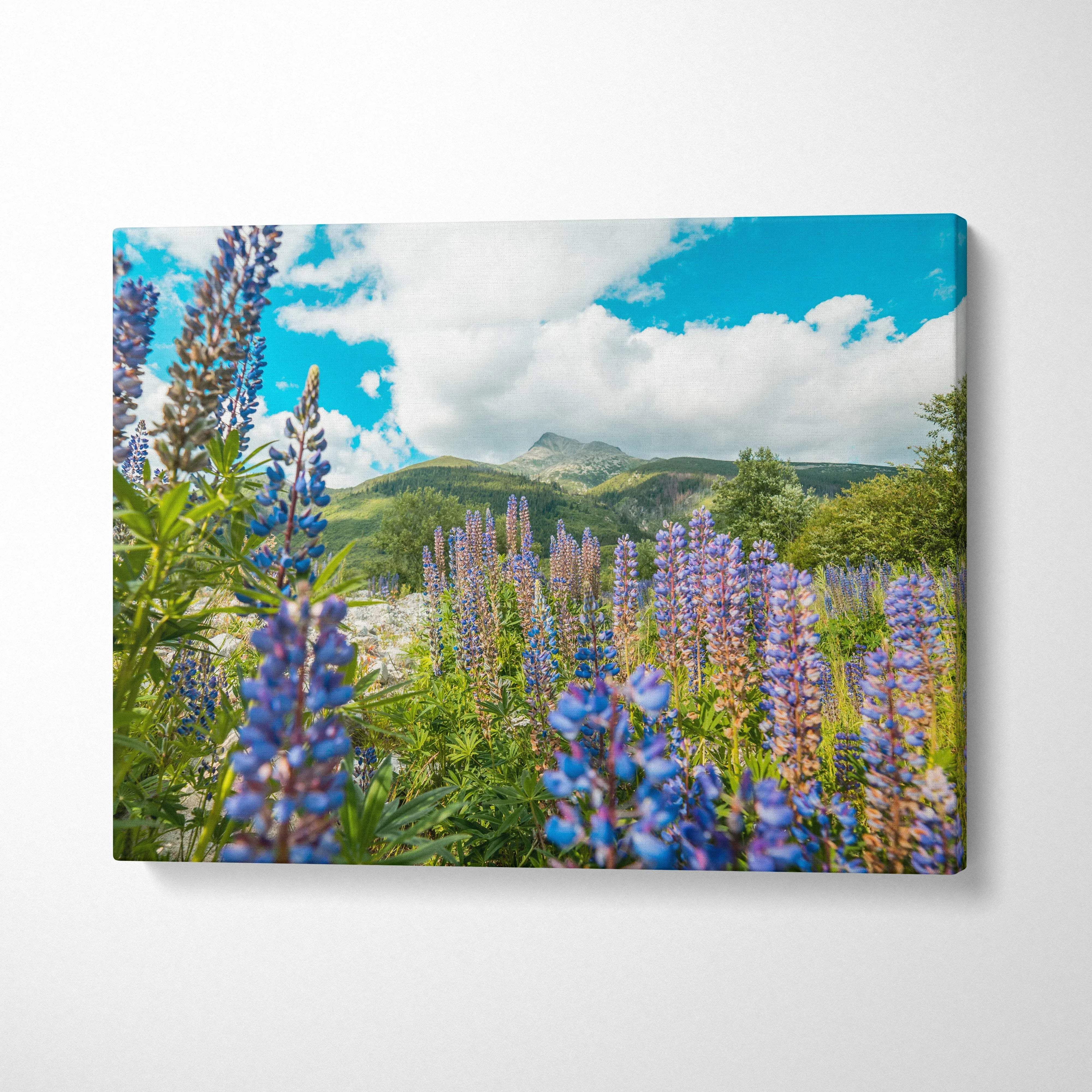 Vibrant canvas wall art featuring purple lupine flowers with green hills and blue sky background.