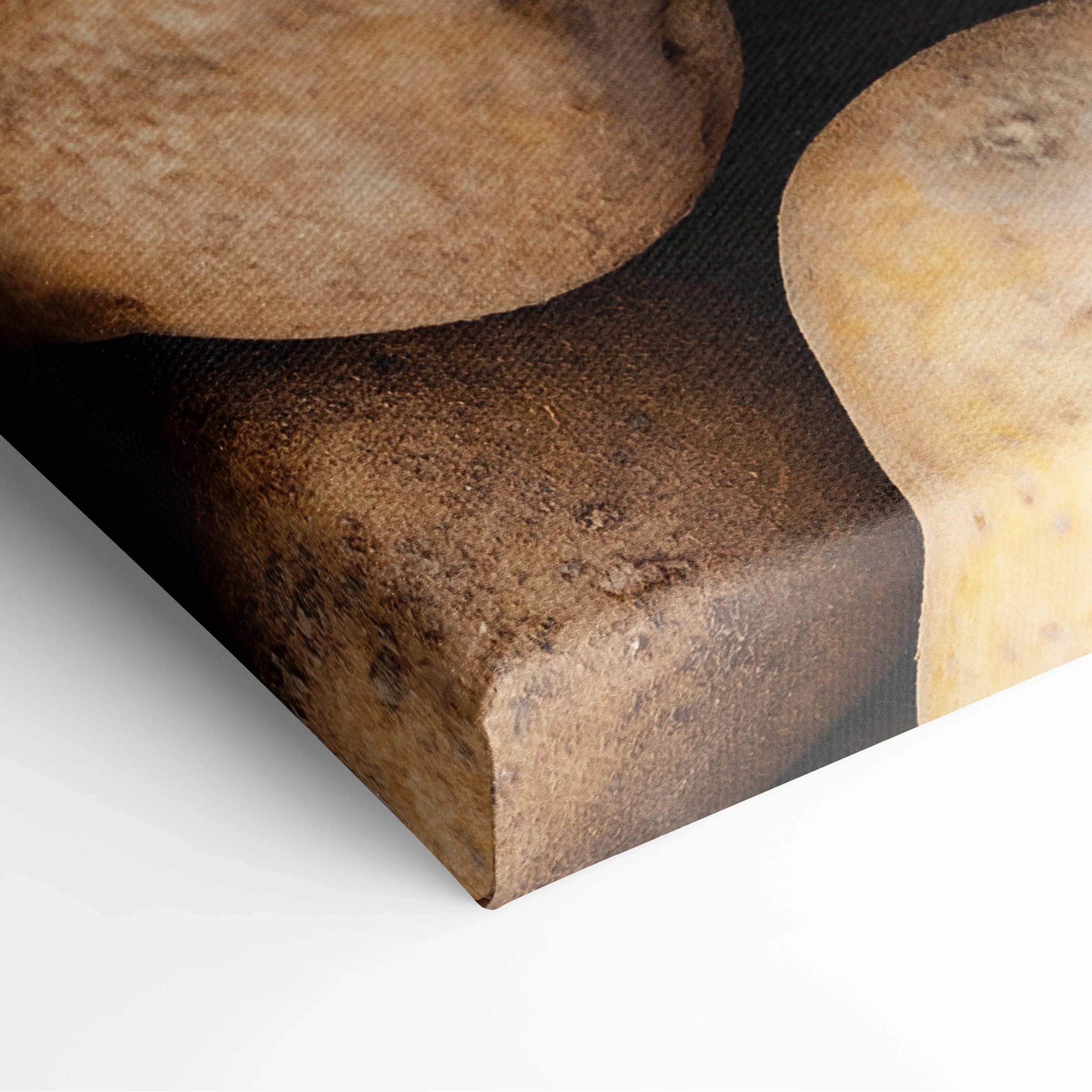 Close-up of rustic potato printed on textured canvas wall art with natural brown and beige tones.