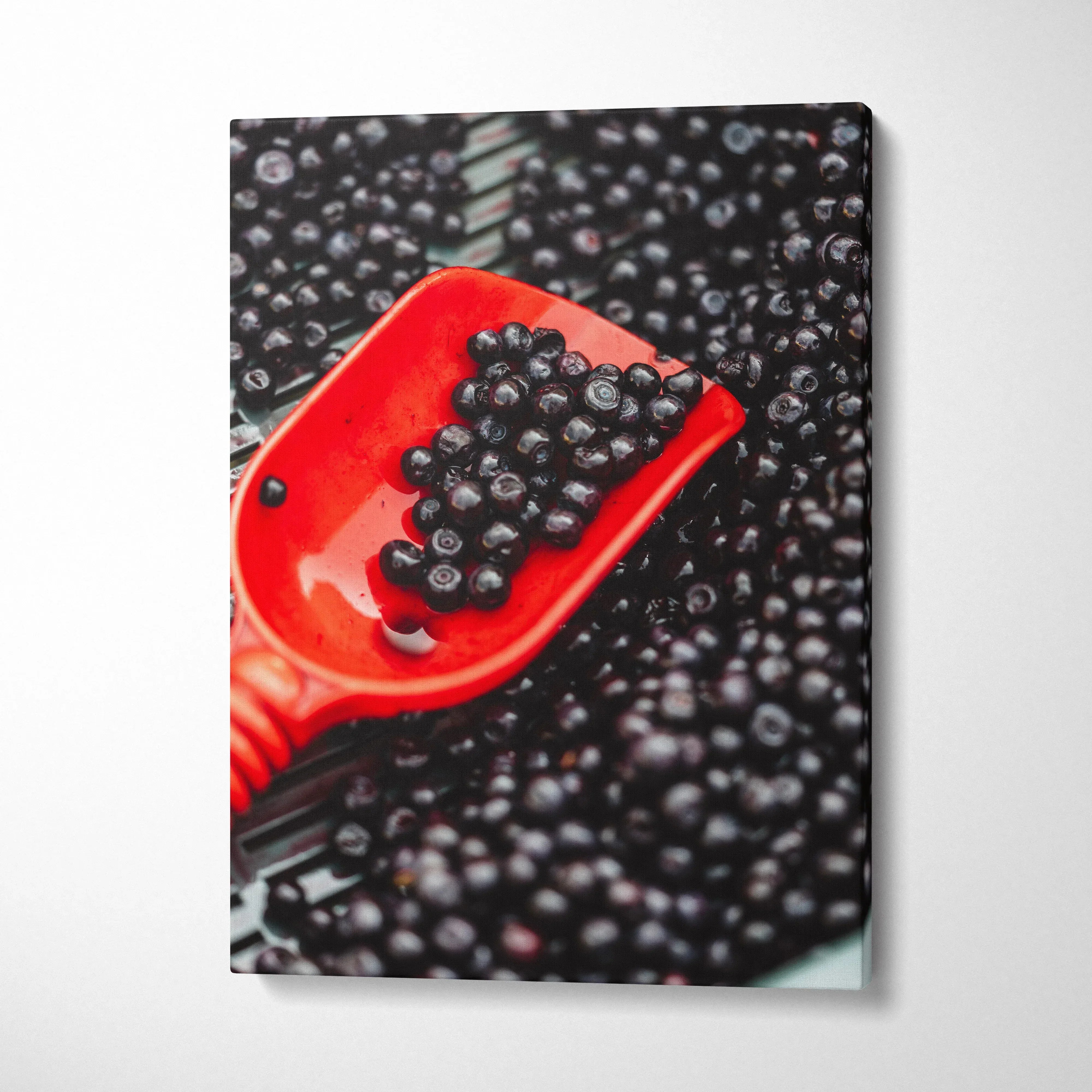 Vibrant blueberry canvas wall art featuring close-up of fresh blueberries in a red scoop, high-resolution decor.