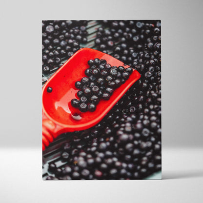 Canvas wall art featuring vibrant blueberries with a bright red scoop, high-resolution decor print.