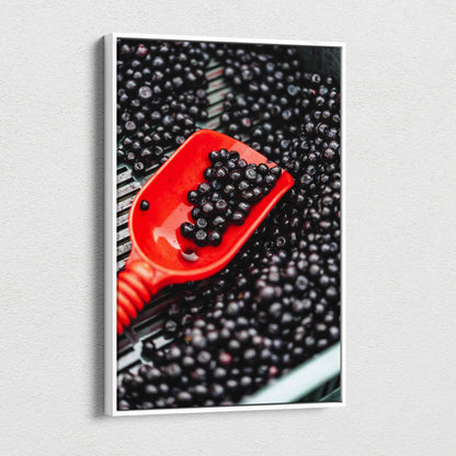 Canvas wall art featuring a close-up of glossy black blueberries with a vibrant red scoop against a dark background.