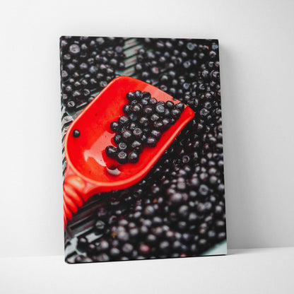 Canvas wall art featuring a close-up of glossy blackberries in a red scoop against a dark background.