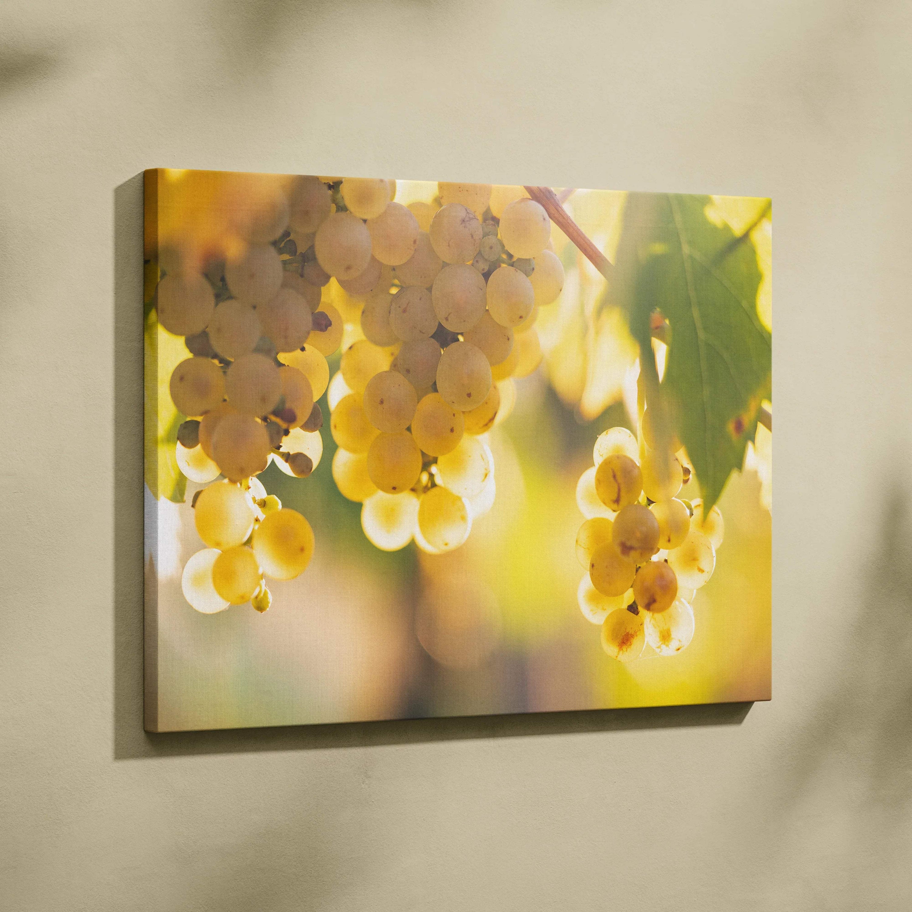 Canvas wall art featuring close-up of sunlit green grapes hanging on vine for vibrant home decor.