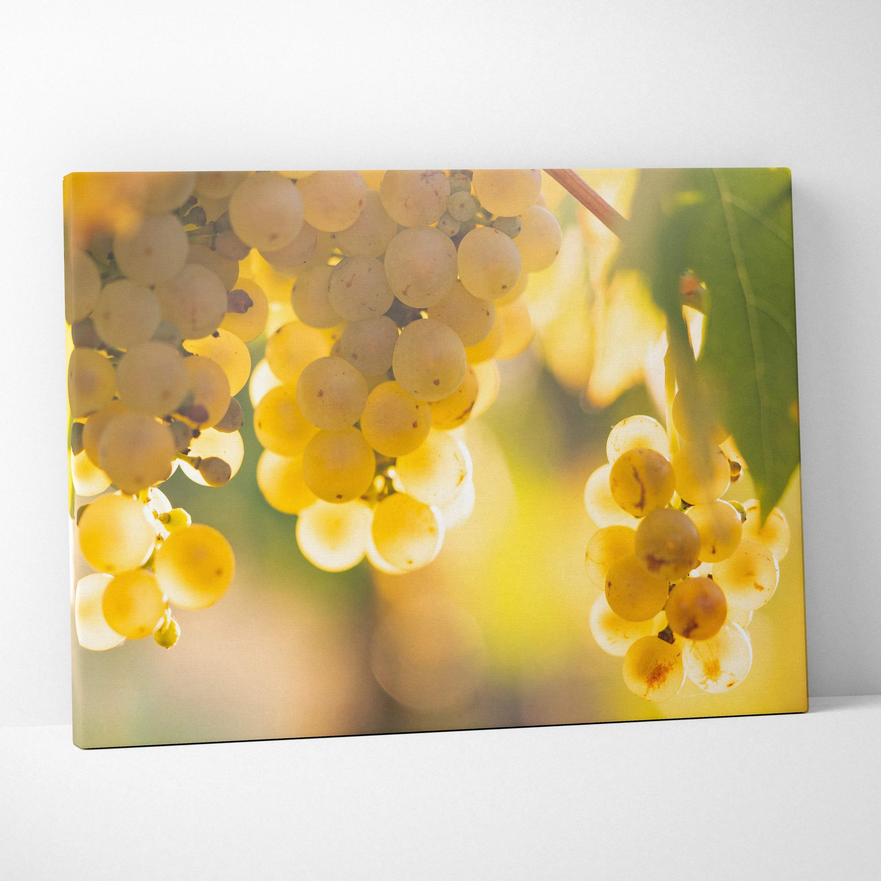 Canvas wall art featuring close-up of translucent yellow-green grapes with sunlight and soft bokeh background.
