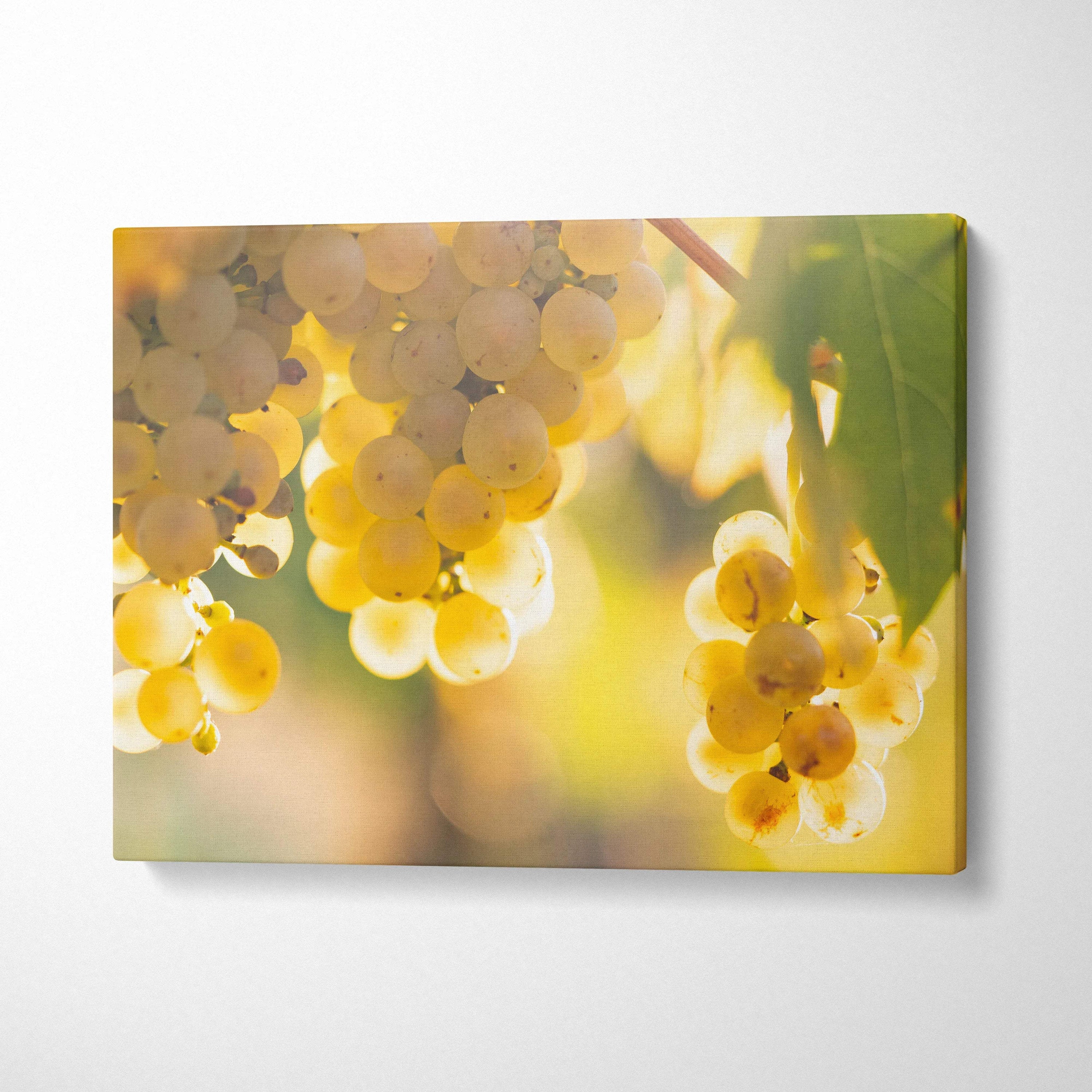 Canvas wall art featuring ripe yellow grapes with soft sunlight and green leaves, home decor art.