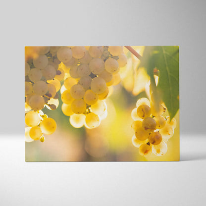 Canvas wall art depicting close-up of ripe yellow and green grapes with sunlight filtering through leaves.