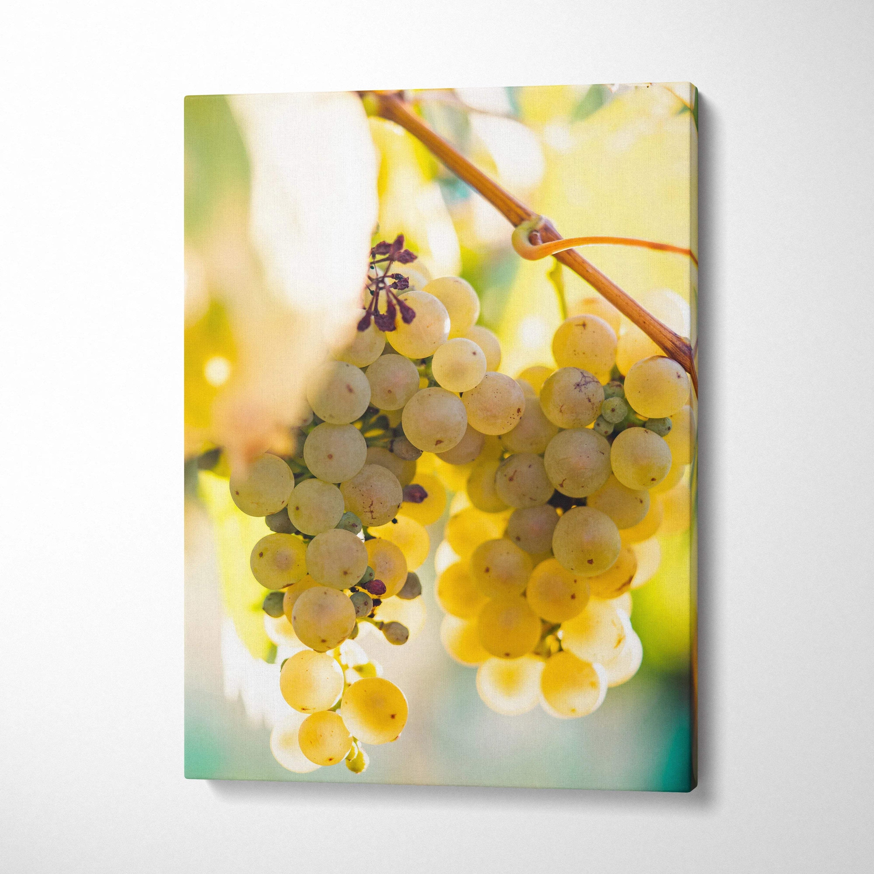 Canvas wall art featuring vibrant close-up of green grape cluster with sunlight, bright living room decor.