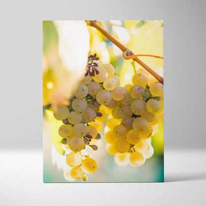 Canvas wall art featuring vibrant close-up of sunlit green grapes for living room decor.